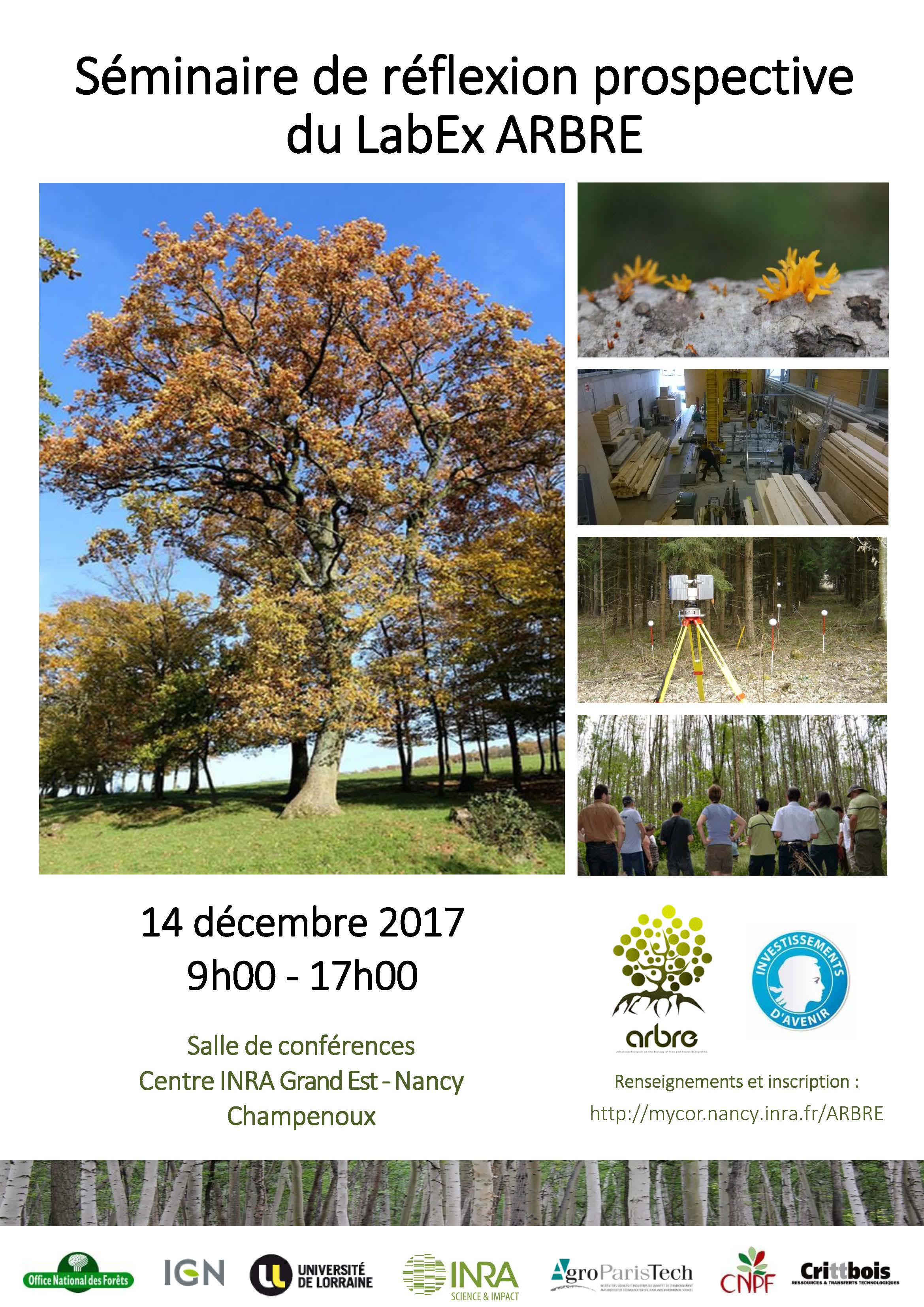 ARBRE Séminaire Prosepctif 2017 -vF