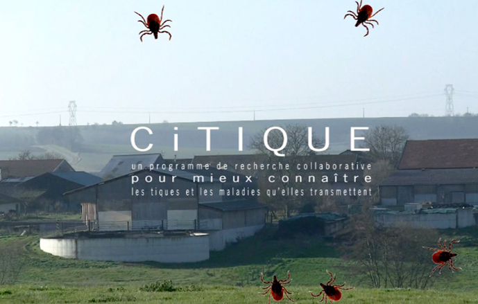 Citique film