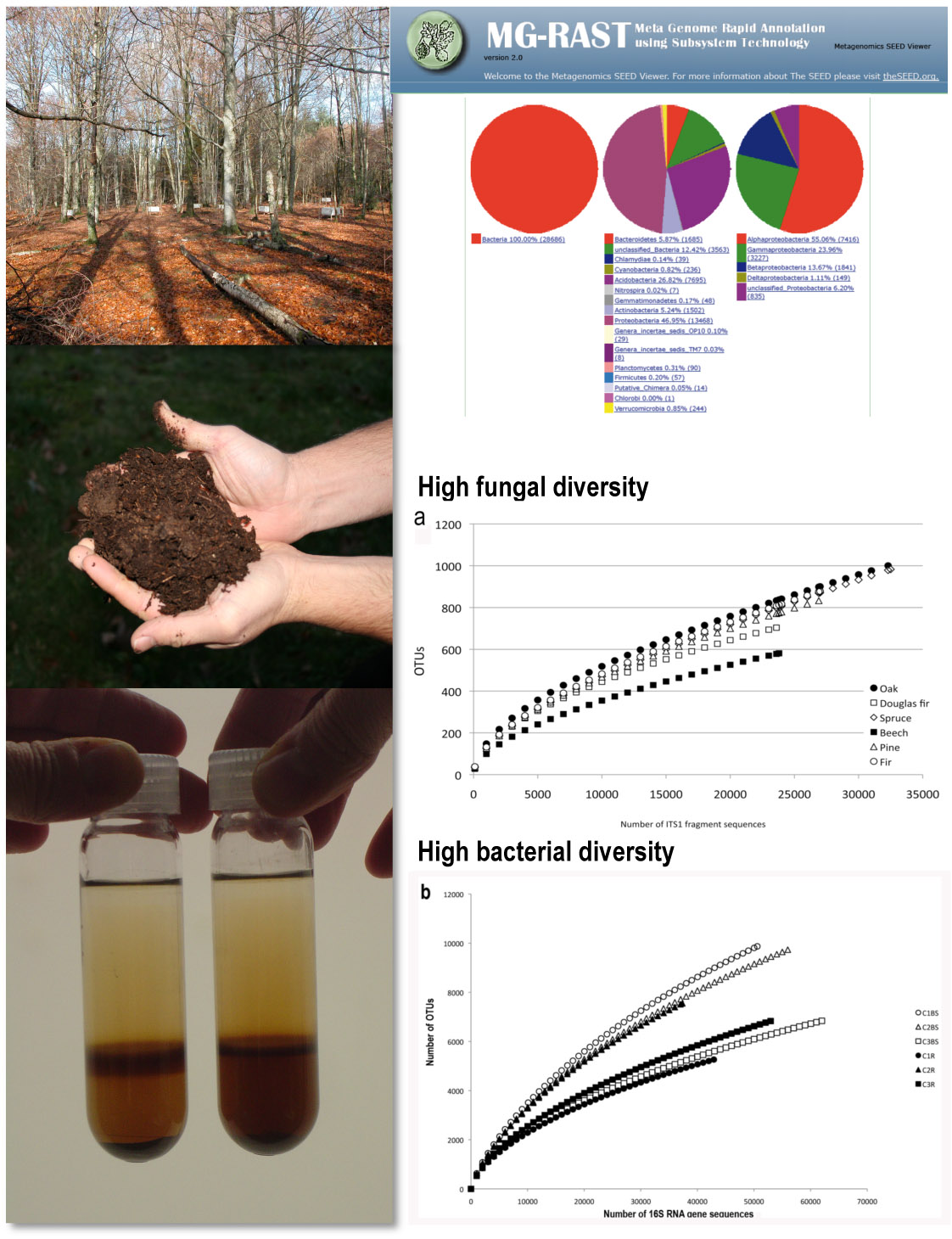 meta soil